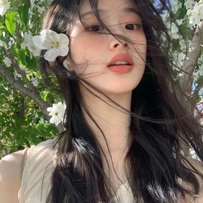 龙珠剧场版：迈向最强之道